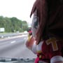 This plushie dances to the music.. no wait, that's the bumps in the road at 90mph..!